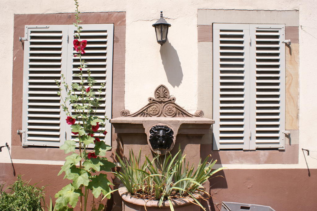 Apartment De L'hotel De Straßburg